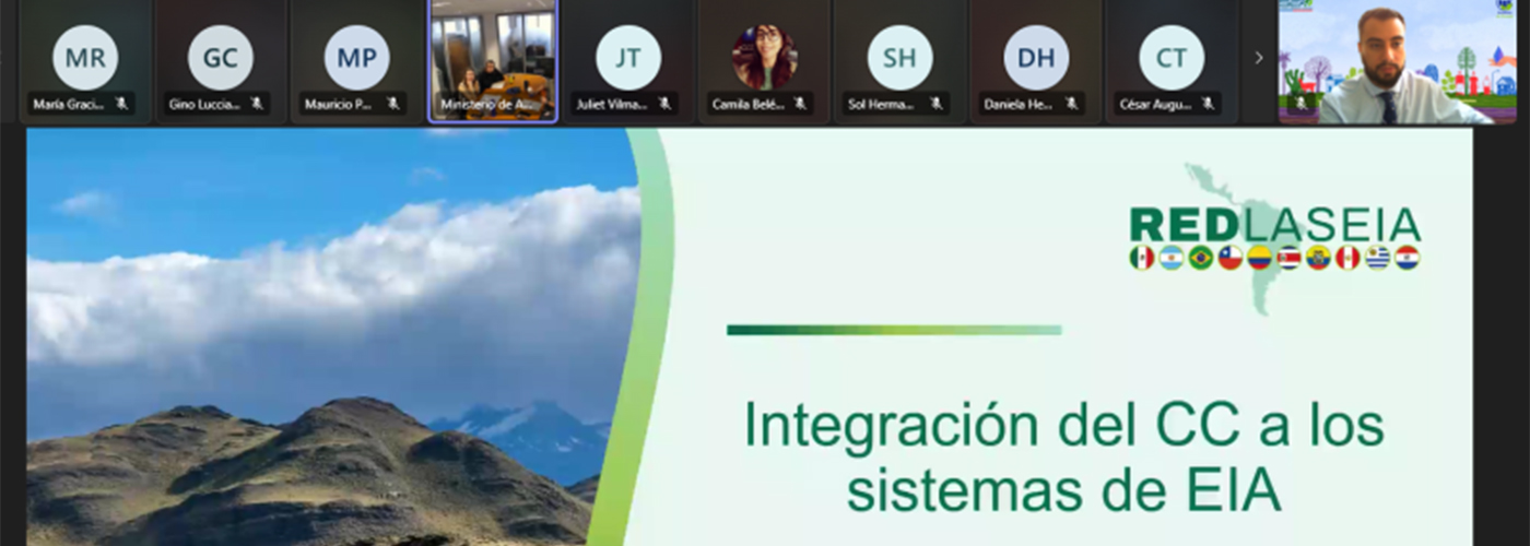 Reunión virtual mesa de trabajo 4 - Chile
