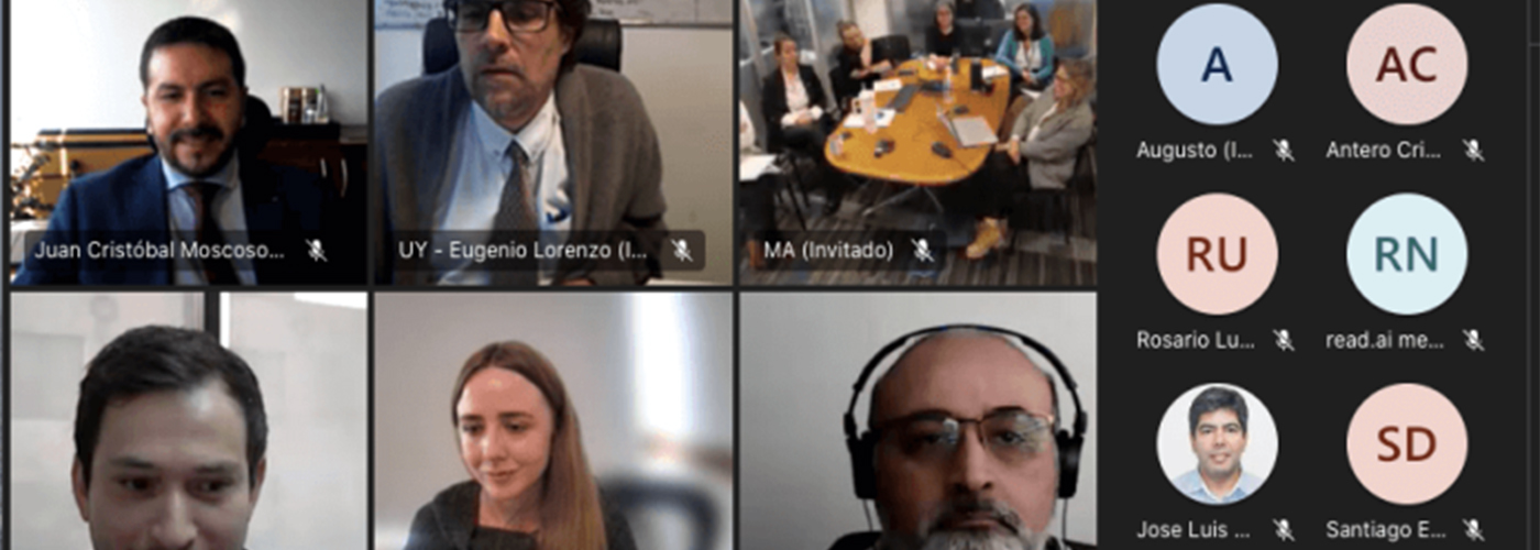 Reunión virtual inicio mesa de trabajo 2 - Chile