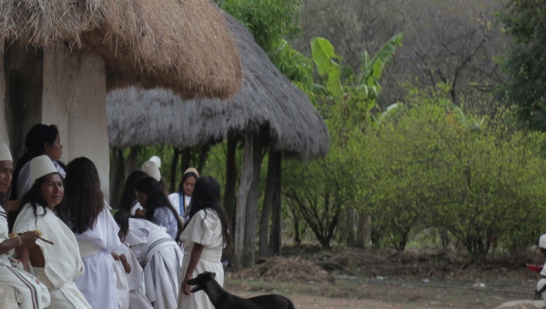 Santa Marta será sede del XII Diálogo Regional de Políticas de la RedLASEIA